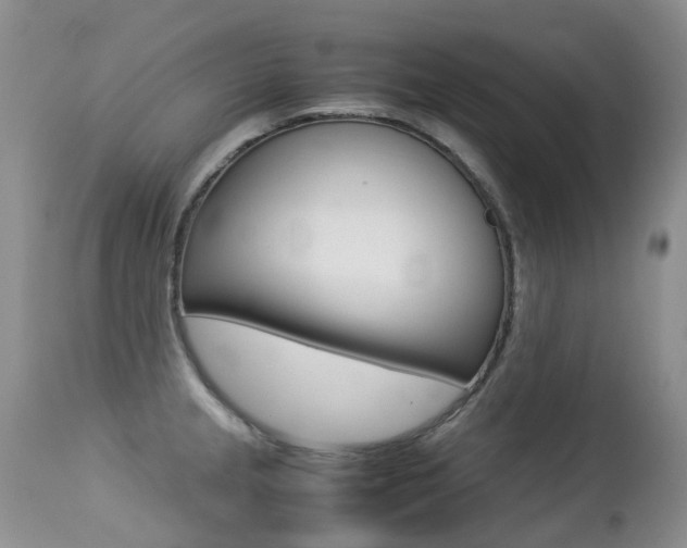 X0000113211237200909100938
