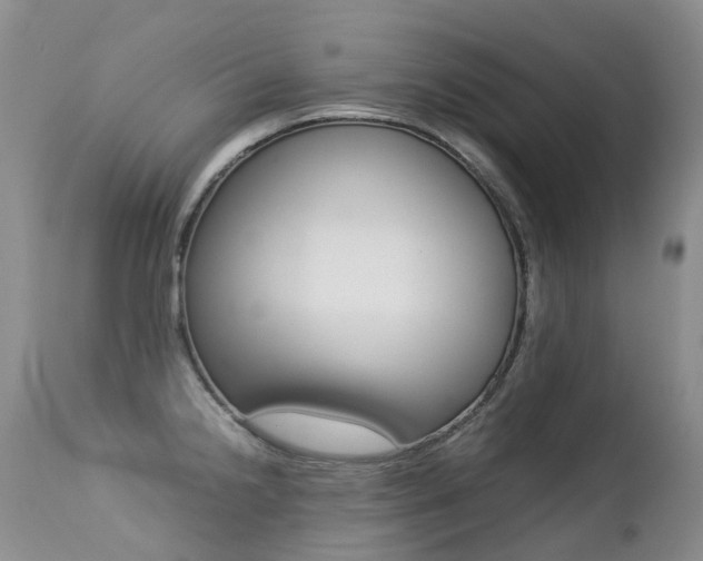 X0000113211238200909100938