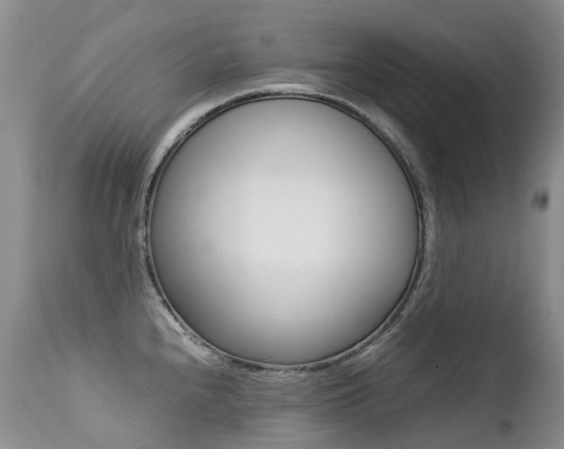 X0000113211240200909100938