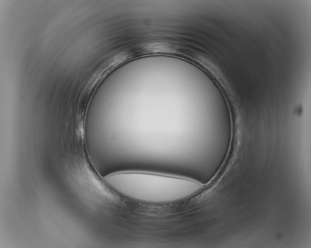X0000113211241200909100938