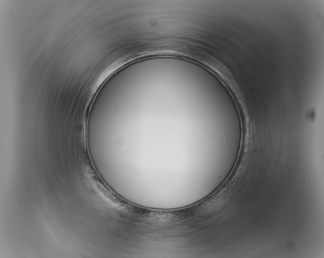 X0000113211242200909100938