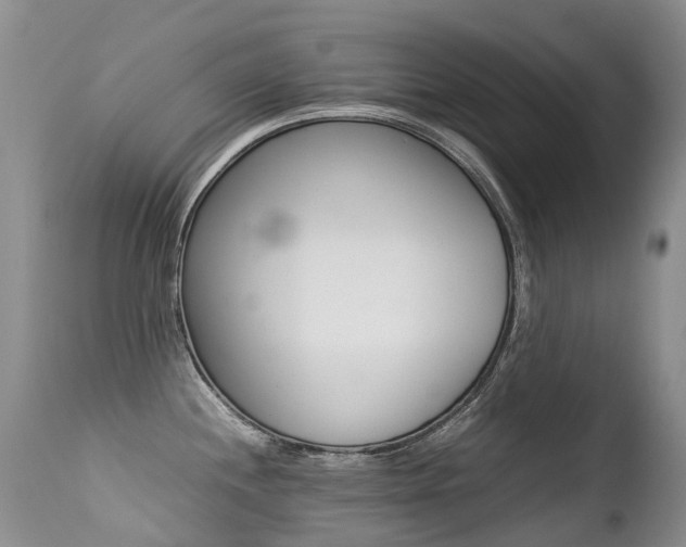 X0000113211244200909100939