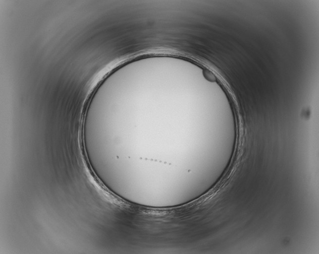 X0000113211245200909100939