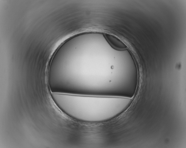 X0000113211246200909100939