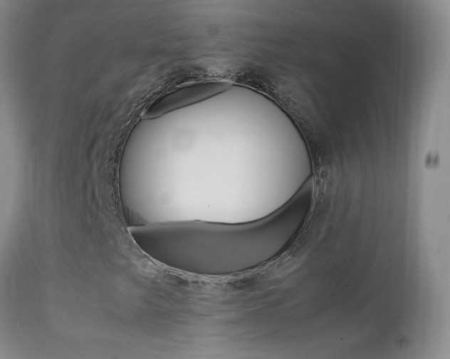 X0000113211249200909100938