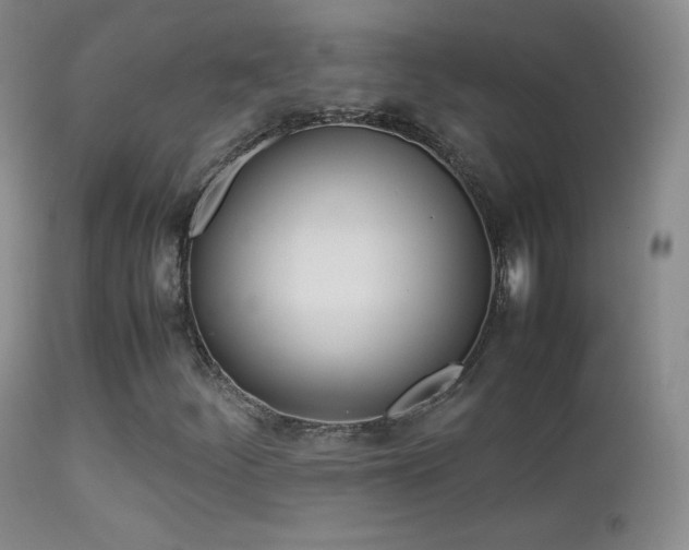 X0000113211252200909100938