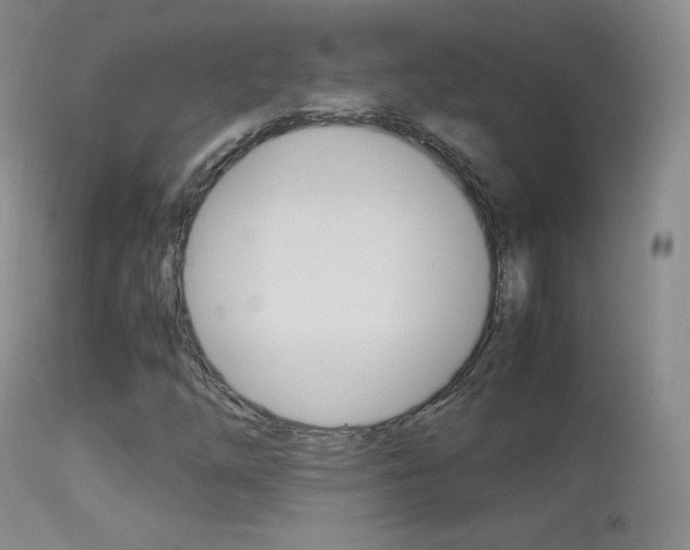 X0000113211254200909100938