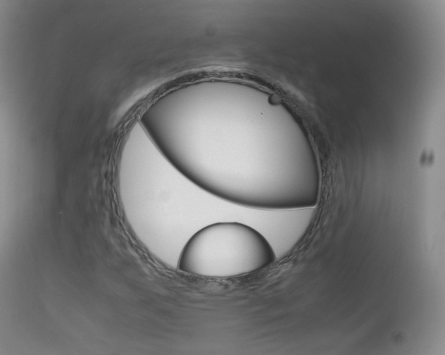 X0000113211255200909100938