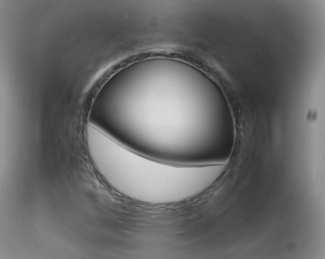 X0000113211256200909100938