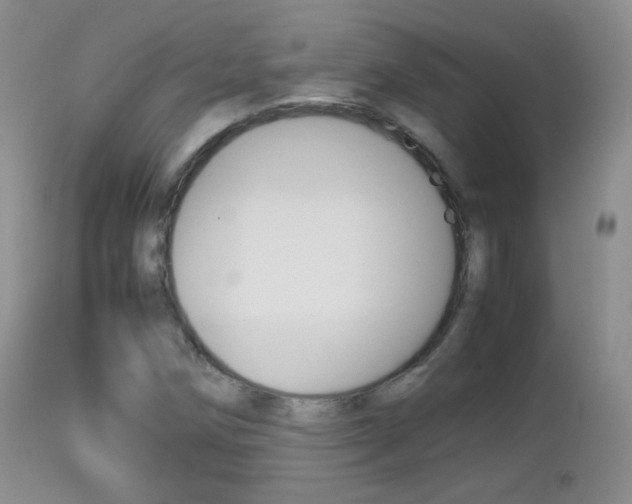 X0000113211258200909100938