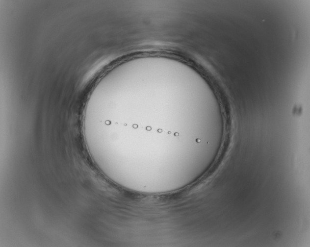 X0000113211259200909100938