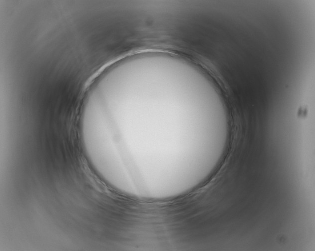 X0000113211260200909100938