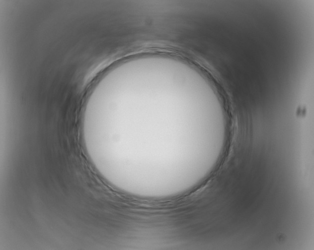 X0000113211261200909100938