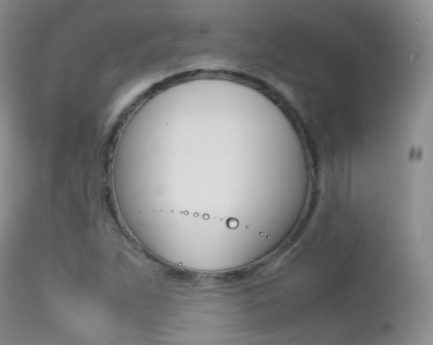 X0000113211263200909100938