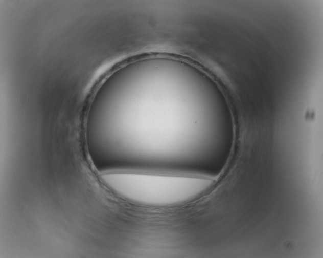 X0000113211264200909100938