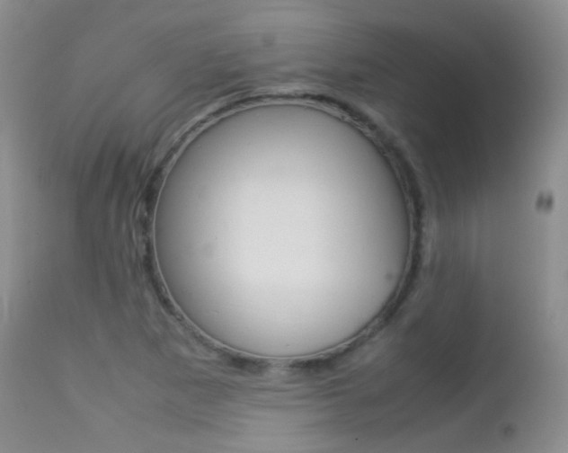 X0000113211265200909100938