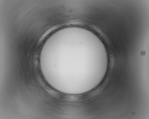 X0000113211266200909100938