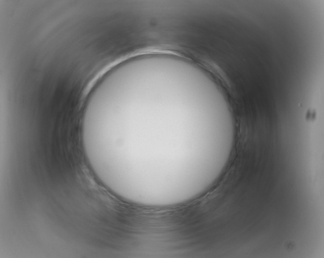X0000113211268200909100937