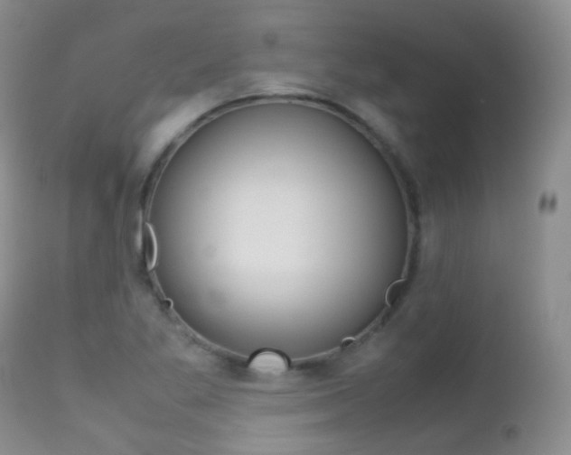 X0000113211269200909100937