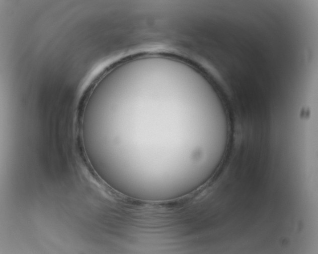 X0000113211270200909100937