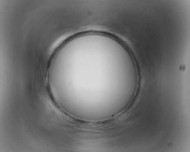 X0000113211271200909100937