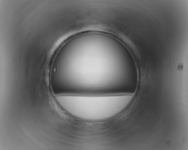 X0000113211272200909100937