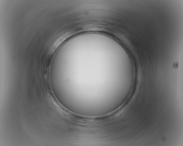 X0000113211273200909100937