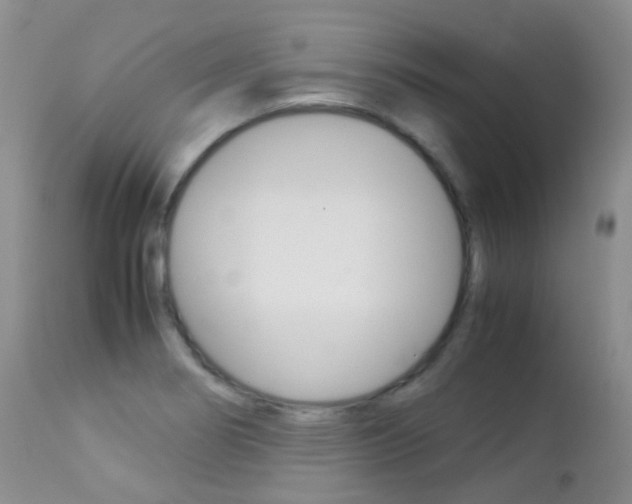 X0000113211274200909100937