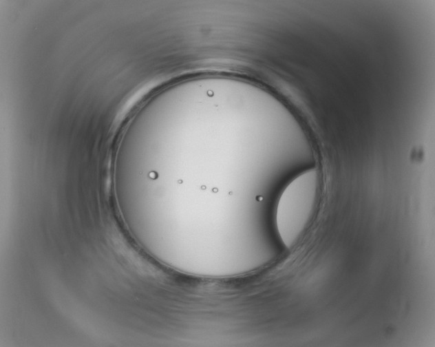 X0000113211275200909100937
