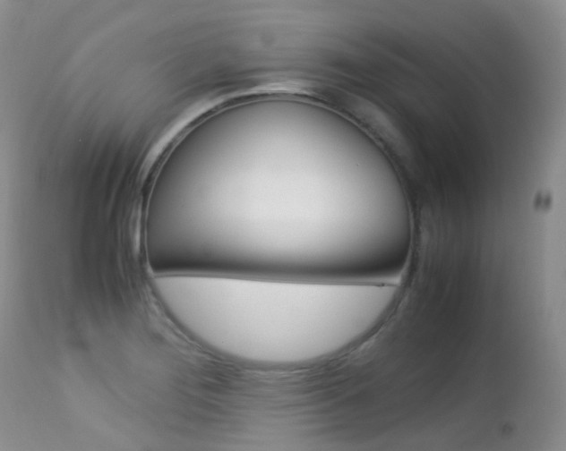 X0000113211276200909100937