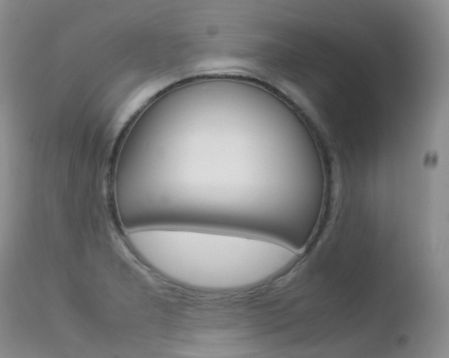 X0000113211277200909100937