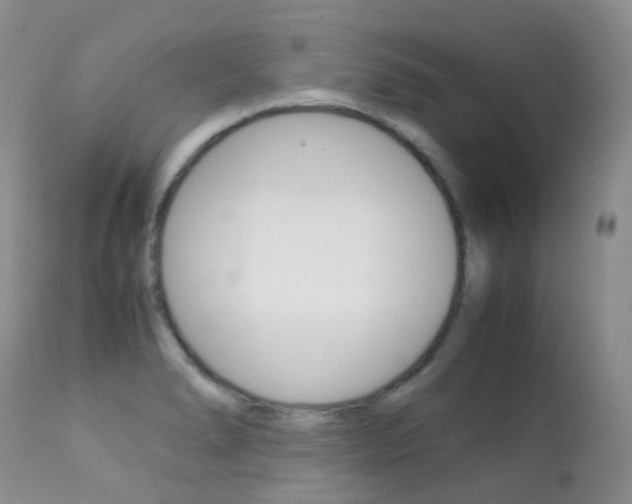 X0000113211278200909100937