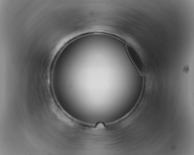 X0000113211280200909100937