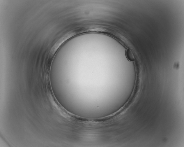 X0000113211281200909100937