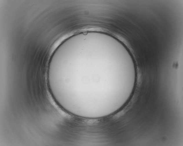 X0000113211282200909100937