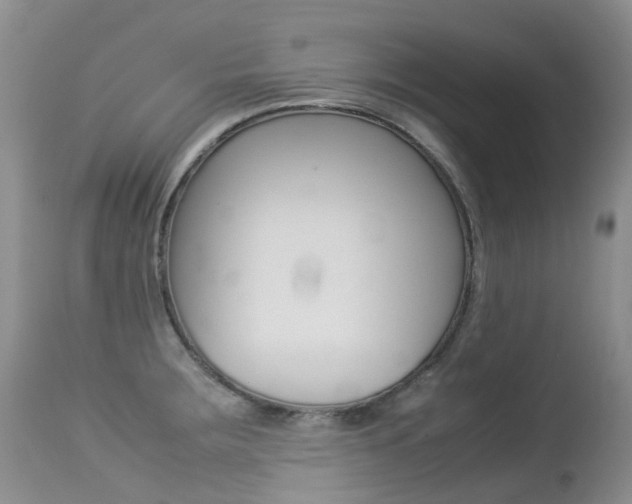 X0000113211283200909100937