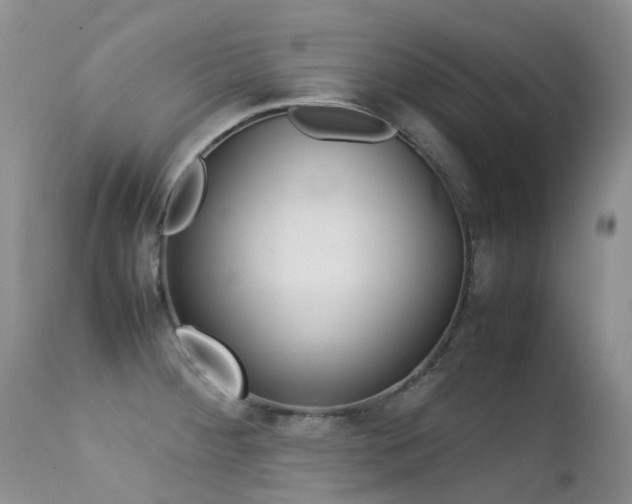 X0000113211284200909100937