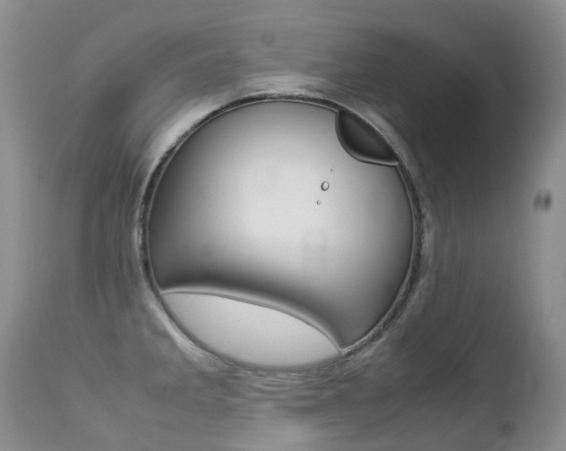 X0000113211285200909100937