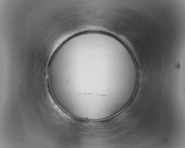 X0000113211287200909100937