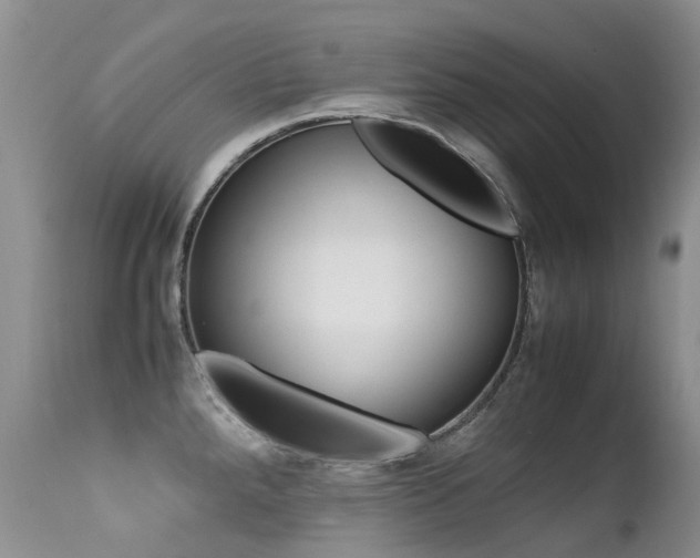 X0000113211288200909100937