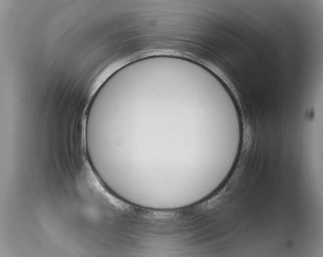 X0000113211290200909100937