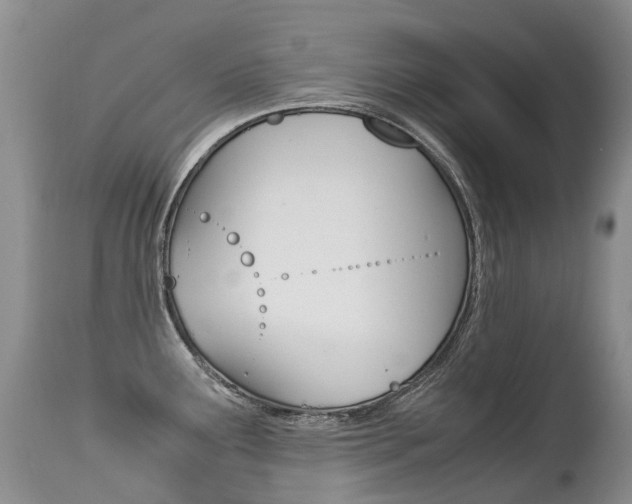 X0000113211291200909100937