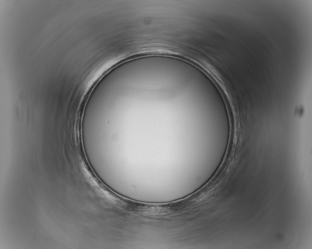 X0000113211293200909100937
