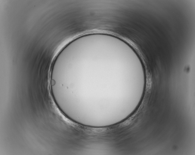 X0000113211294200909100937