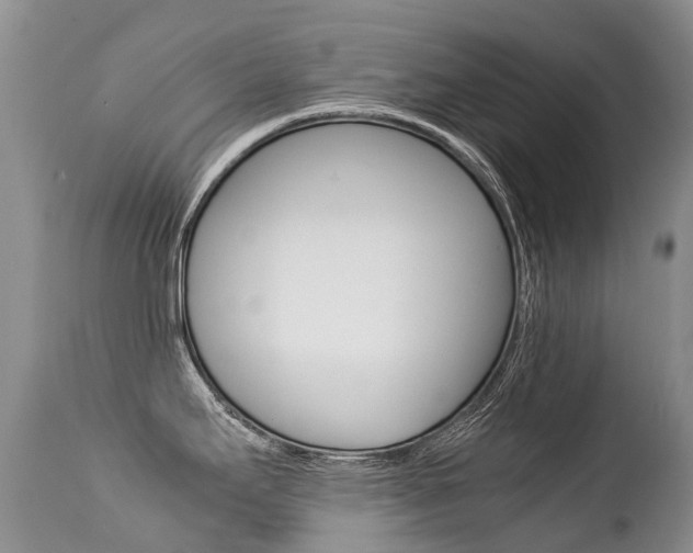 X0000113211295200909100937