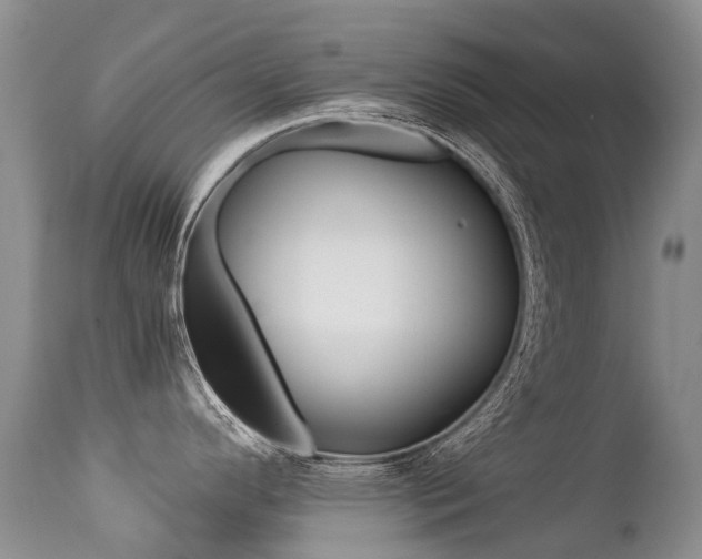 X0000113211296200909100937