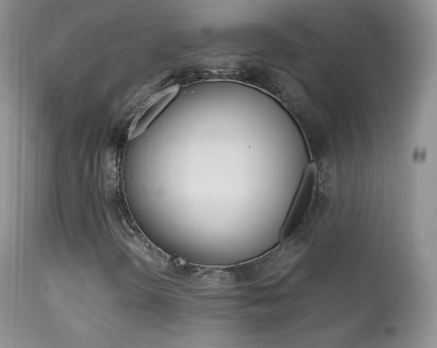 X0000113211298200909100936