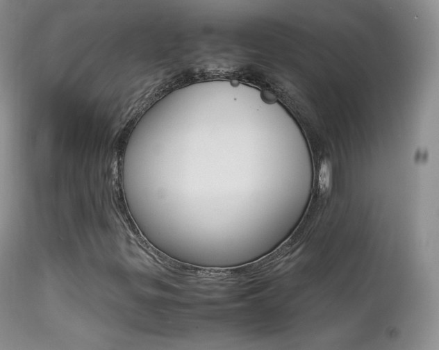 X0000113211299200909100936