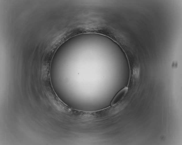 X0000113211300200909100936