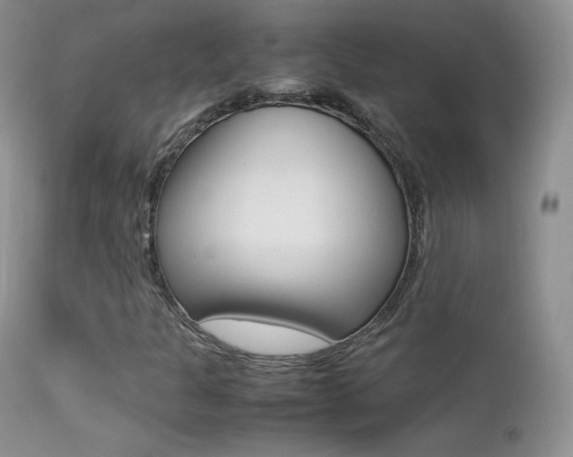 X0000113211301200909100936